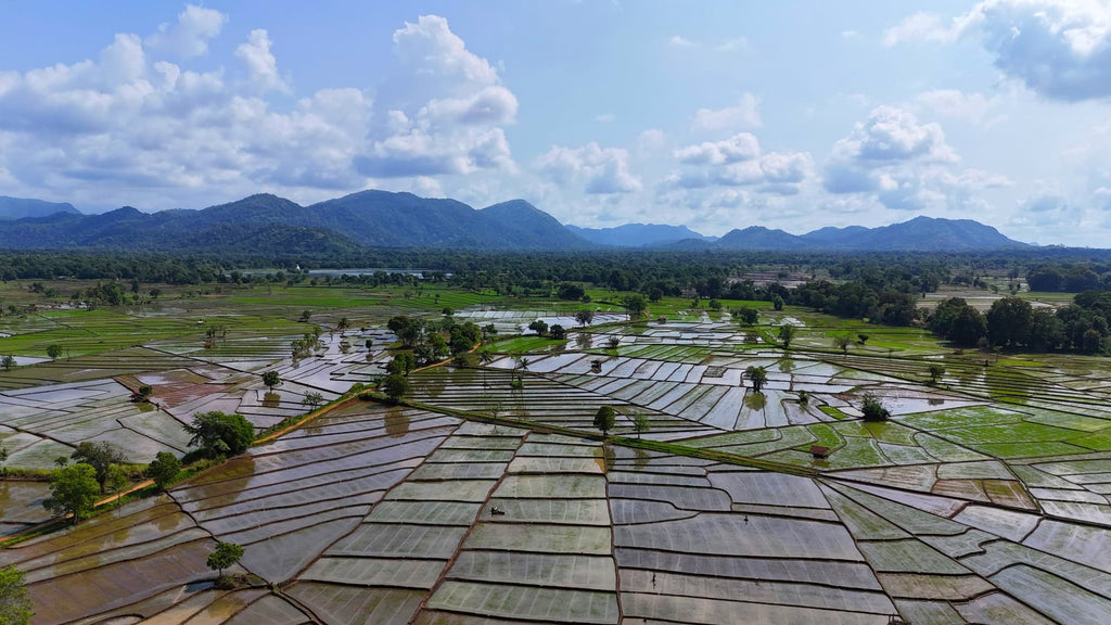 Šrilanka – paradīze Indijas okeānā