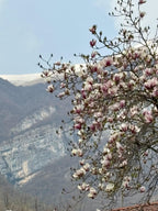 Komo ezera burvība un Milānas elegance