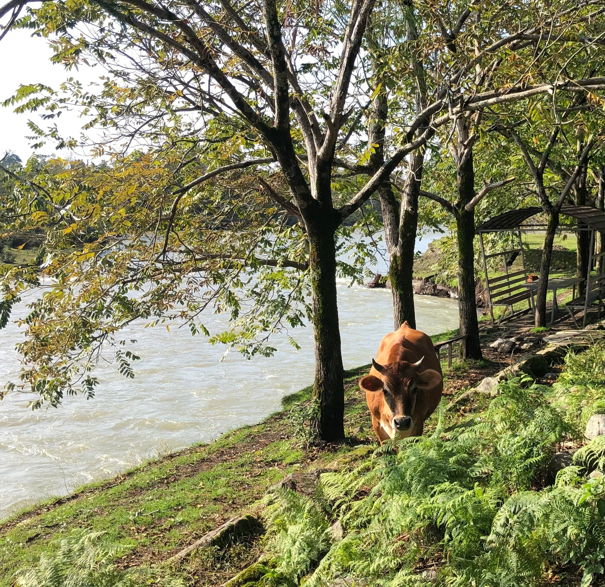 Lieldienās pie Melnās jūras: pavasaris un garšu piedzīvojums Gruzijā