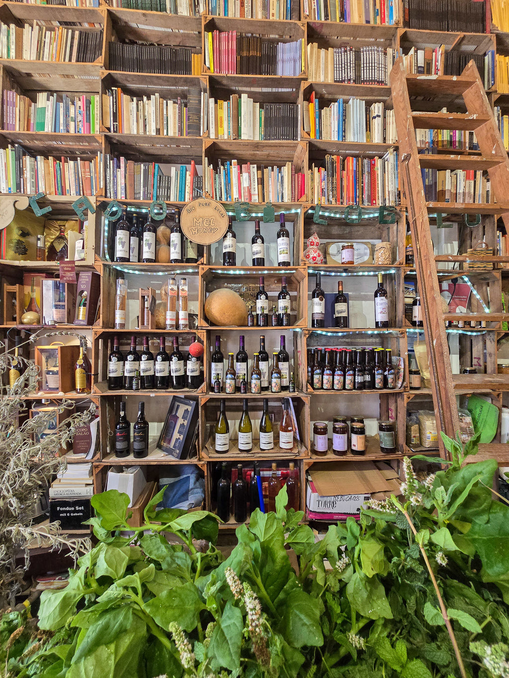 Portugāles piekrastes pērles