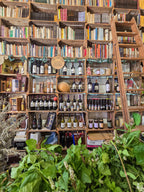 Portugāles piekrastes pērles