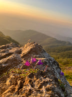 Gruzijas mazpilsēta, kas dzīvo lēni: Melnās jūras piekraste sezonas laikā 3