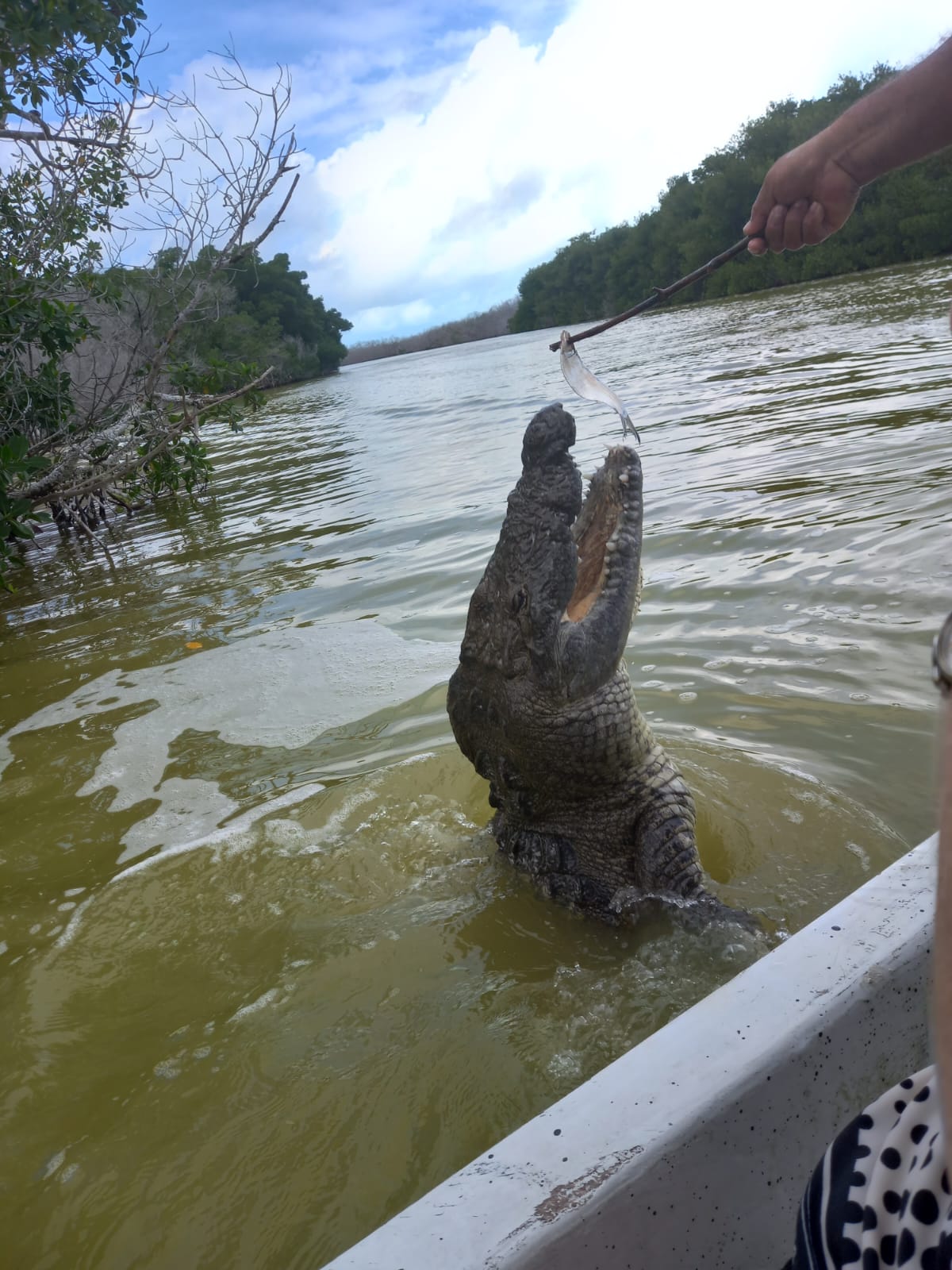 MEKSIKA - Karību jūra, maiju noslēpumi un sajūtas