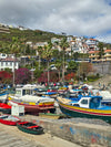 Atlantijas pērle Madeira: dārzi, kalni, levadas un okeāns