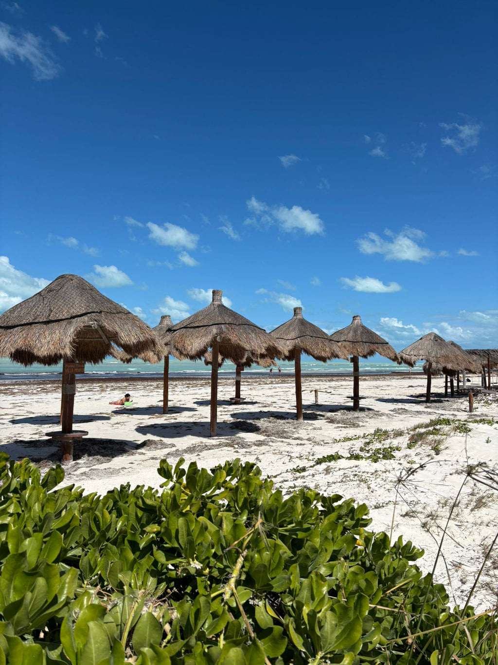 MEKSIKA - Karību jūra, maiju noslēpumi un sajūtas