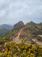 Atlantijas pērle Madeira: dārzi, kalni, levadas un okeāns