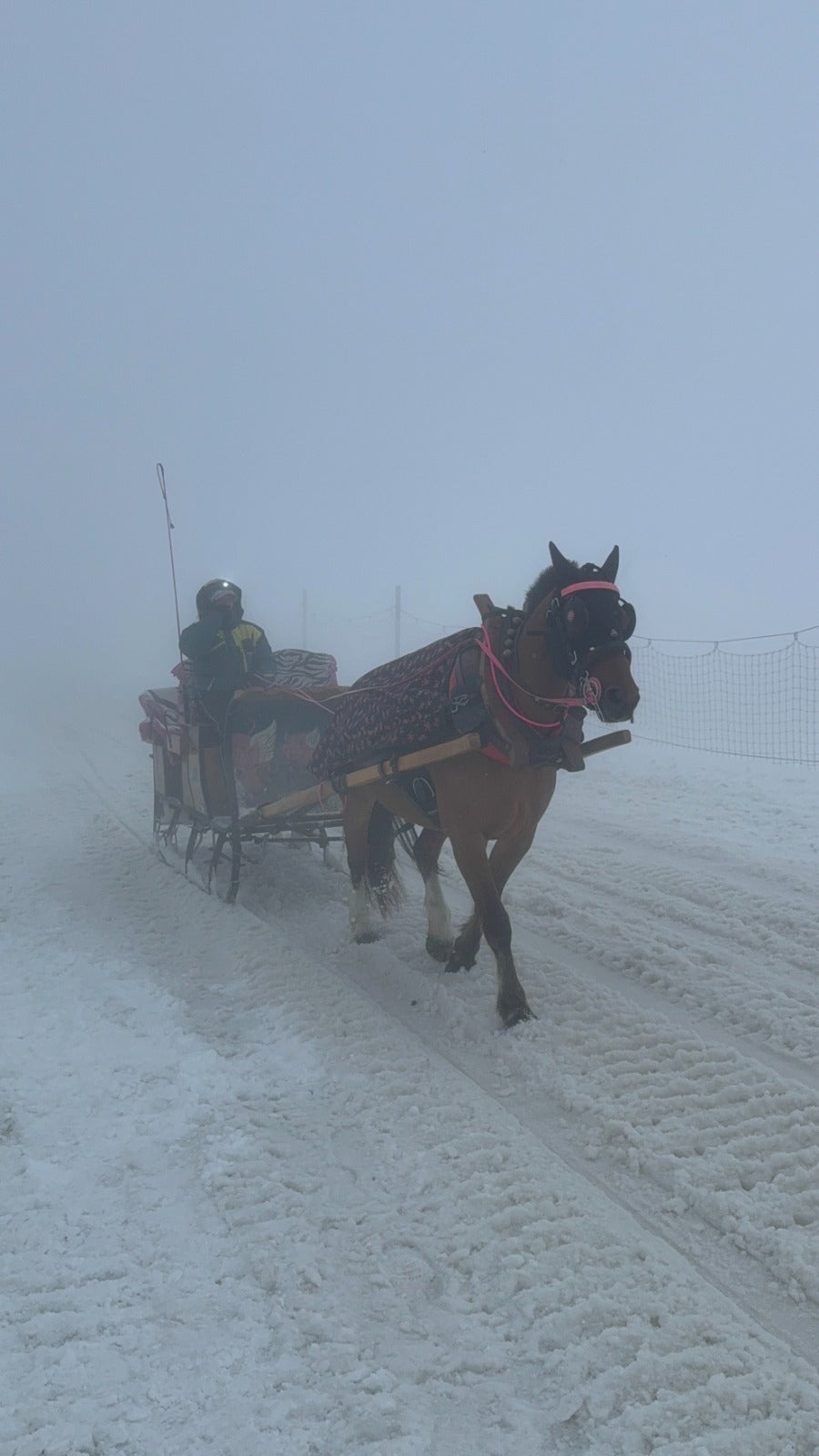 Ziemassvētku noskaņa Francijas un Šveices tirdziņos (mini grupa 4 dalībniekiem)