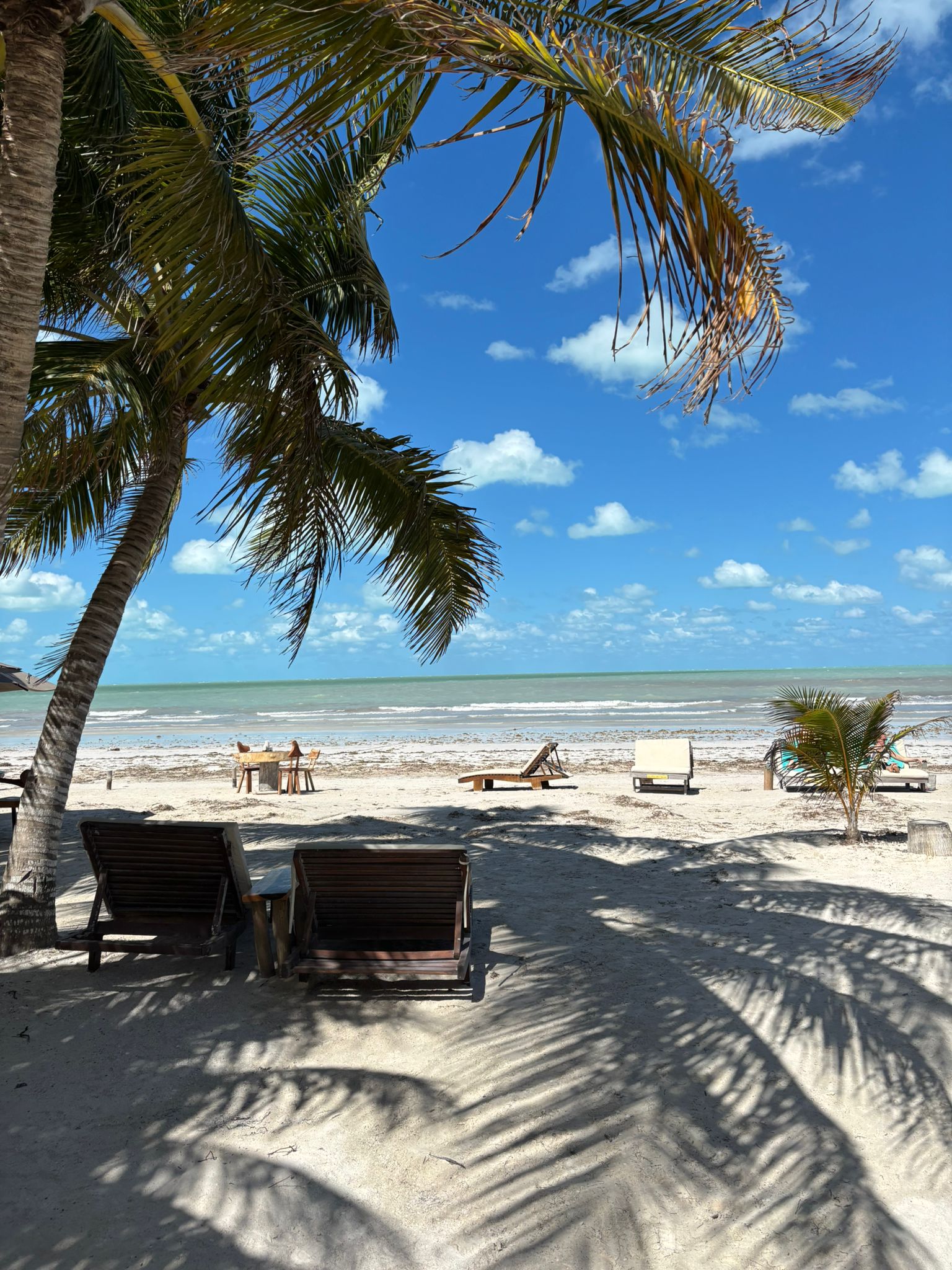 MEKSIKA - Karību jūra, maiju noslēpumi un sajūtas