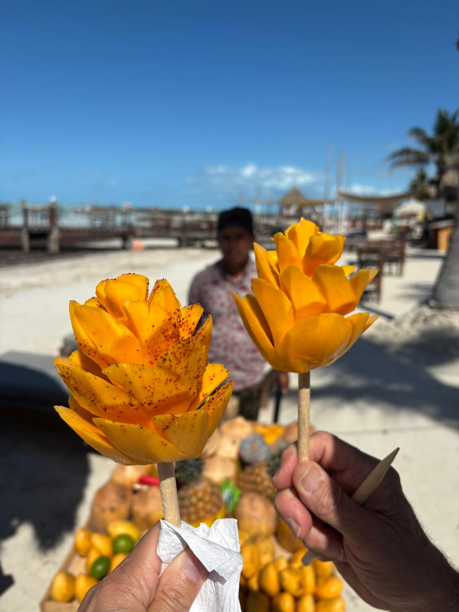 MEKSIKA - Karību jūra, maiju noslēpumi un sajūtas