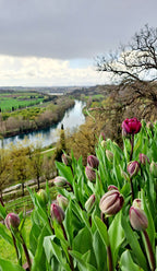 Pavasara elpa pie Gardas ezera