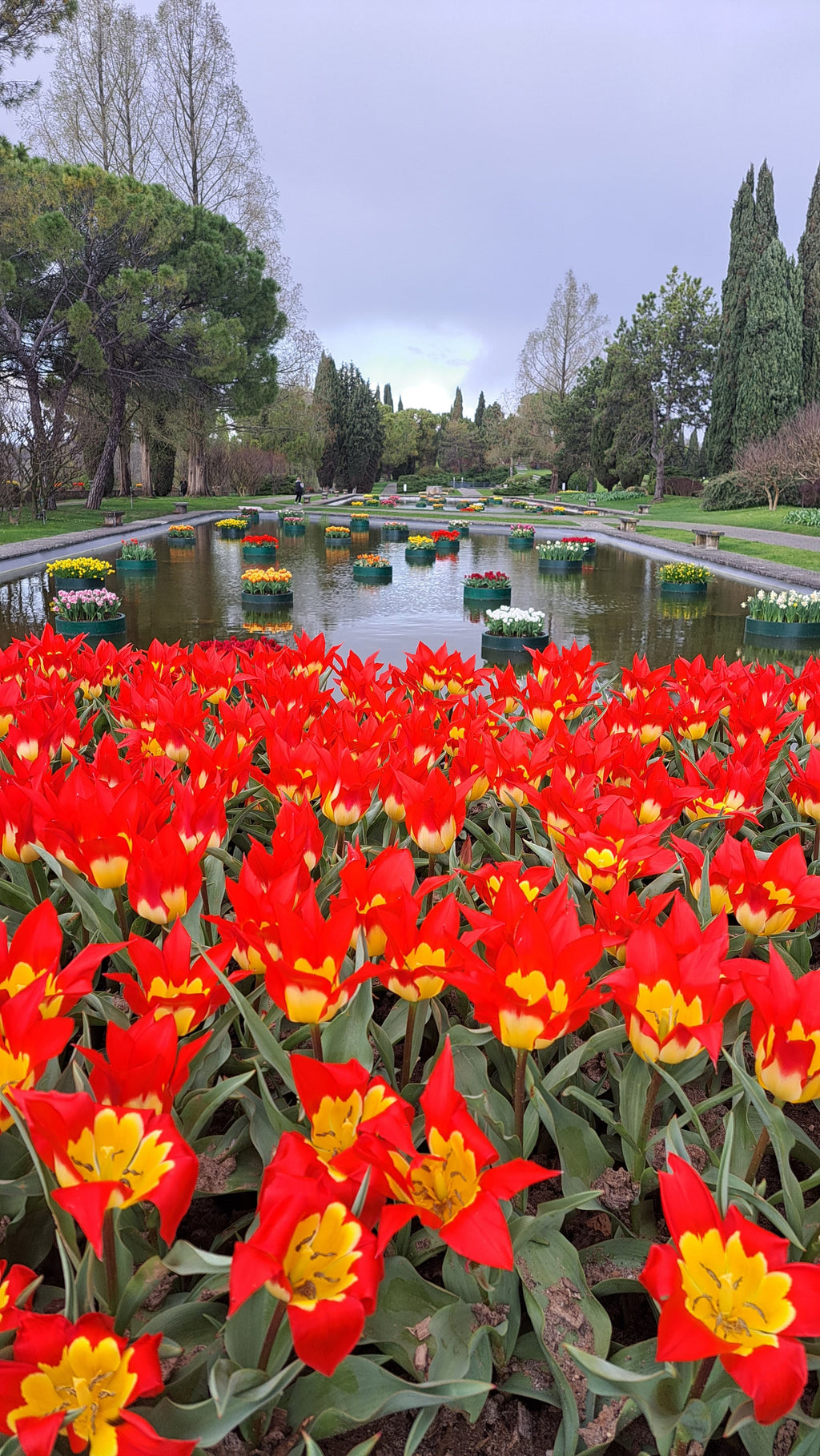 Pavasara elpa pie Gardas ezera