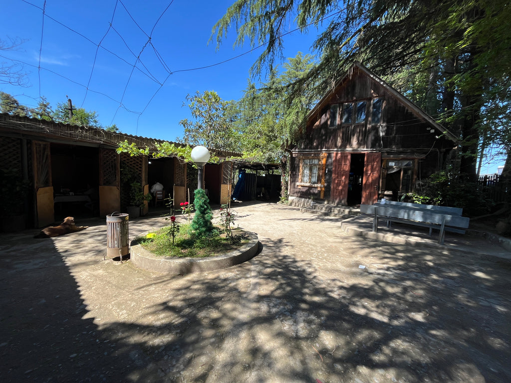 Gruzijas mazpilsēta, kas dzīvo lēni: Melnās jūras piekraste sezonas laikā 3