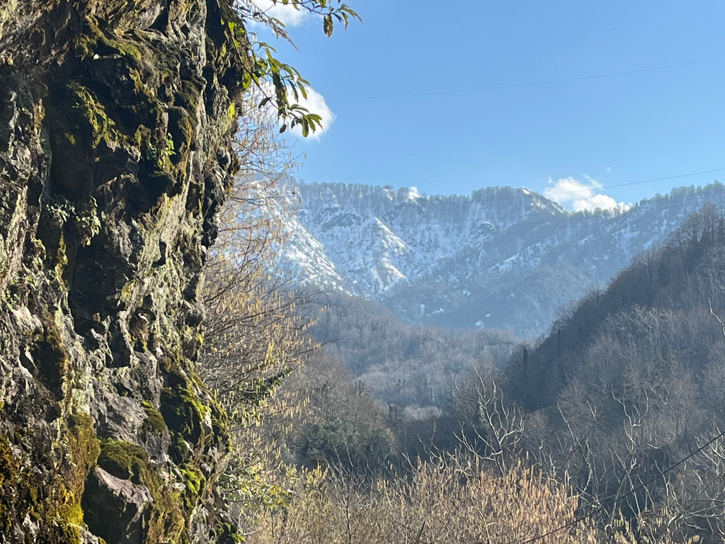 Lieldienās pie Melnās jūras: pavasaris un garšu piedzīvojums Gruzijā