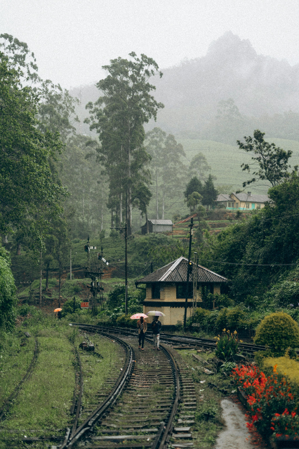 Šrilanka – paradīze Indijas okeānā