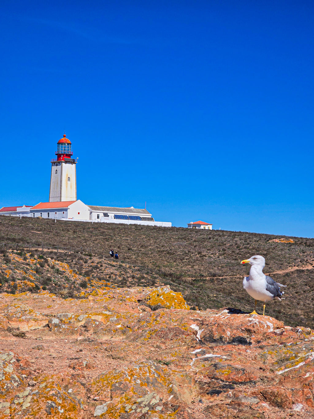 Portugāles piekrastes pērles