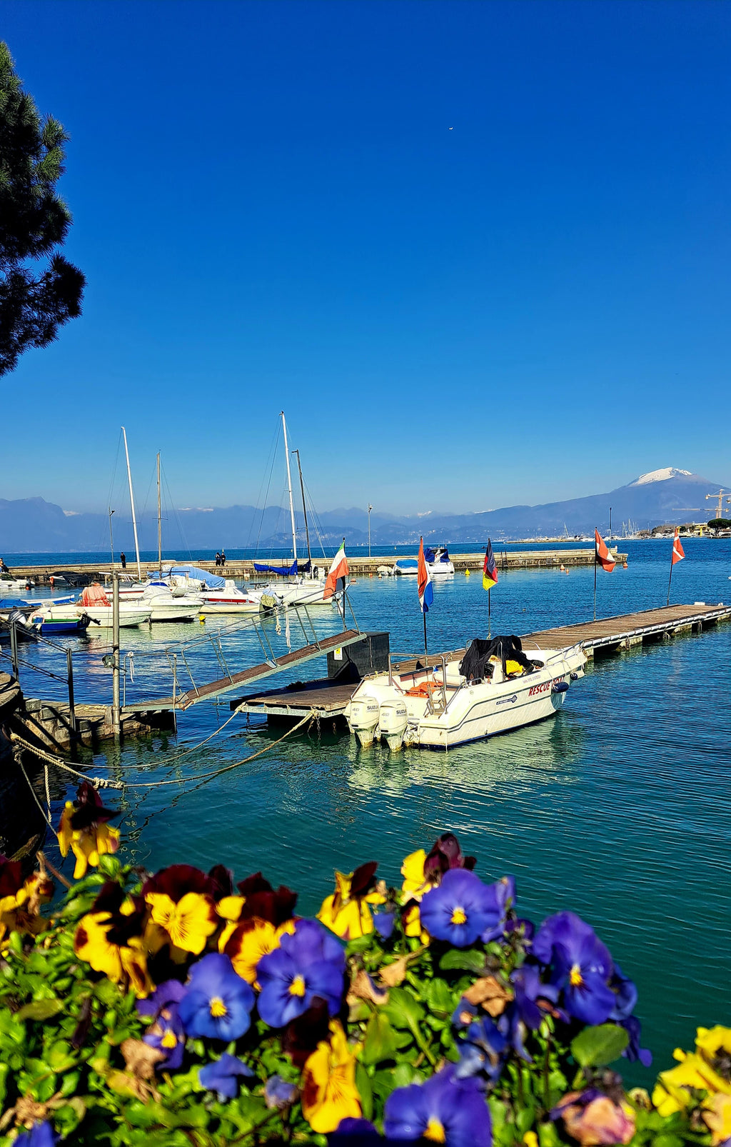 Pavasara elpa pie Gardas ezera