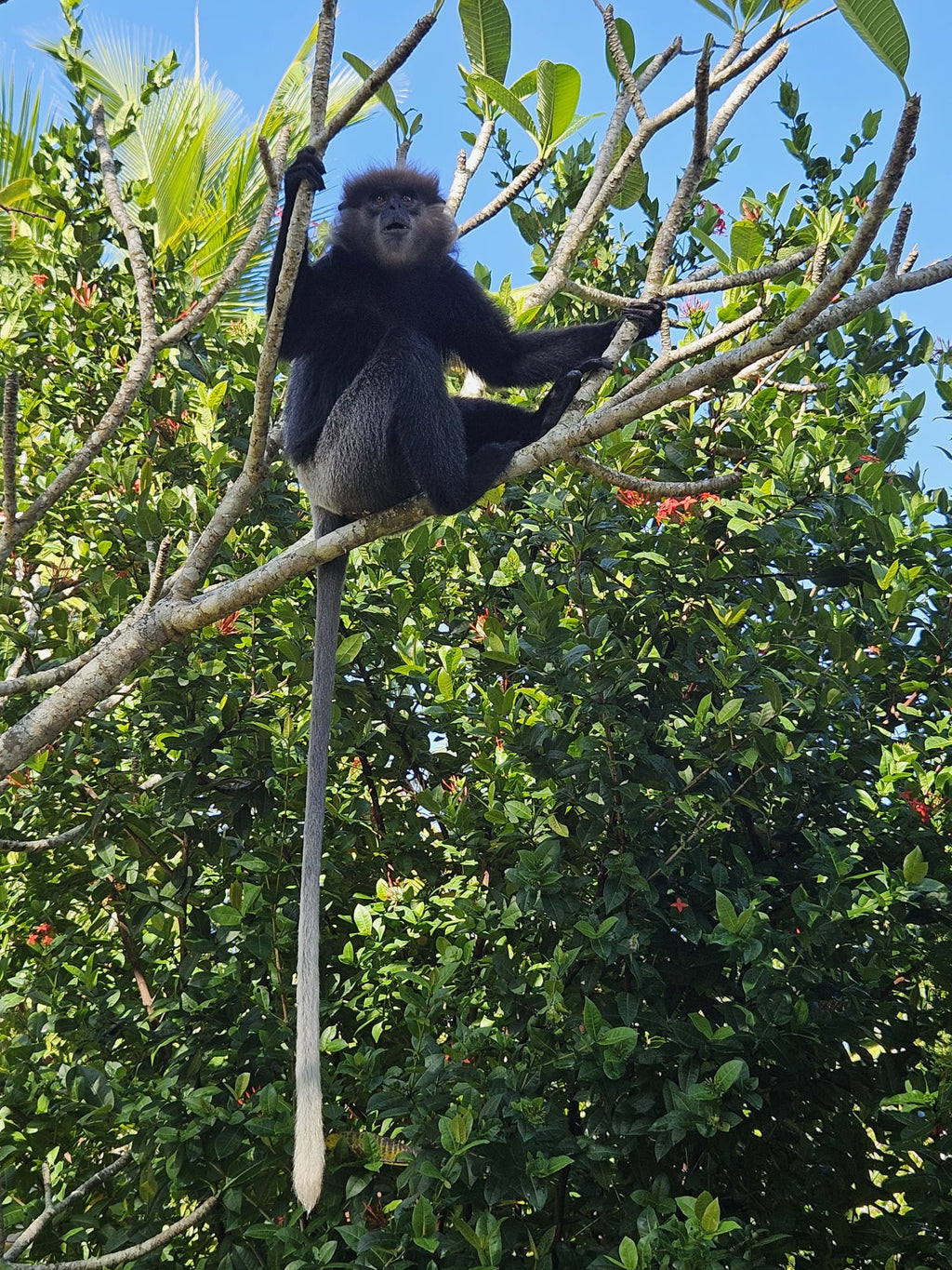 Šrilanka – paradīze Indijas okeānā